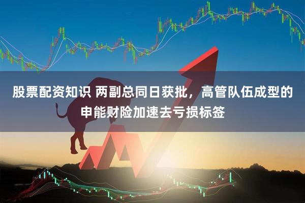 股票配资知识 两副总同日获批，高管队伍成型的申能财险加速去亏损标签